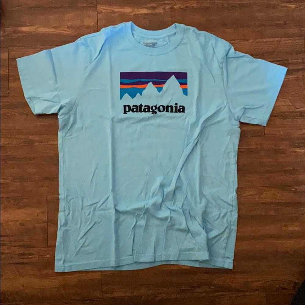 Brand New! Patagonia T-shirt